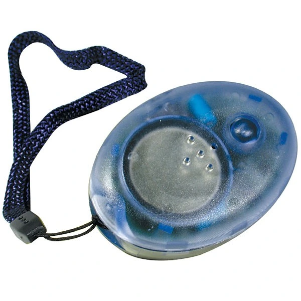 Digitalni govorni kompas eng.